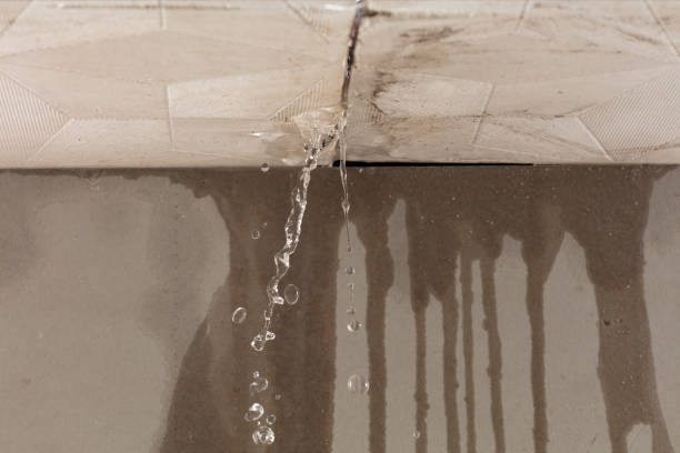 Professional Flood Damage Cleanup technician working in Flora, IN
